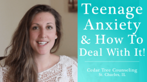Teenage Anxiety Hannah Gambrel
