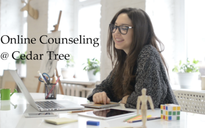 [VIDEO] Online Counseling Now Offered @ Cedar Tree