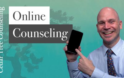 Online Counseling Now Available