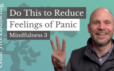 Mindfulness During Quarantine: One Way to Reduce Feelings of Panic (Part 3 of 5)