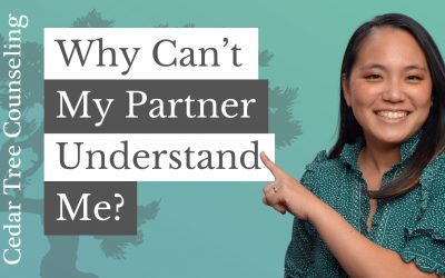 Why Can’t My Partner Understand Me?