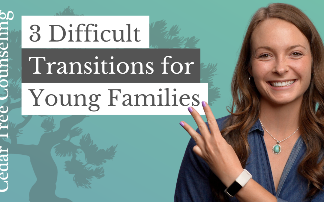 3 Difficult Transitions Young Families Face