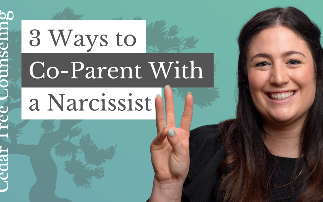 3 Ways to Co-Parent with a Narcissist