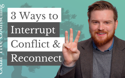 3 Ways to Interrupt Conflict and Reconnect