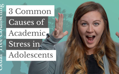 3 Common Causes of Academic Stress in Adolescents & Teens