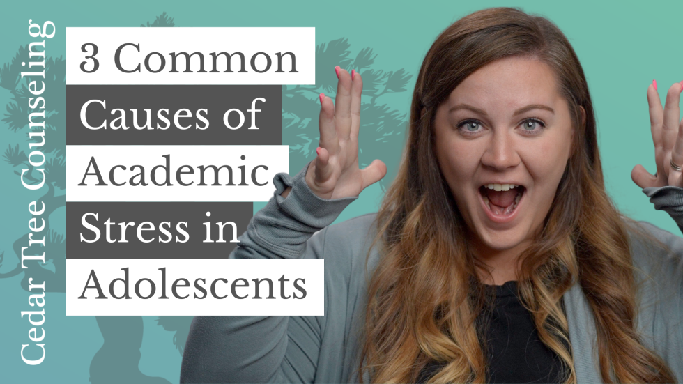 3 Common Causes of Academic Stress in Adolescents & Teens Cedar Tree