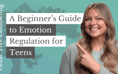 A Beginner’s Guide to Emotion Regulation for Teens